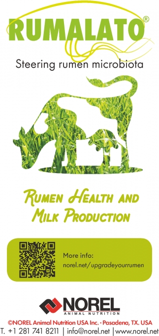 Steering Rumen Microbiota, Norel Animal Nutrition USA, Inc